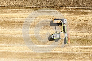 Harvesting wheat on a sunny day. aerial top view
