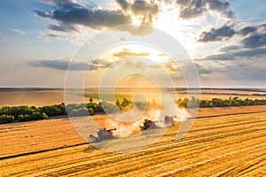 Harvesting wheat. three red combine-harvester work in the field. beautiful sky at sunset.