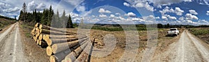 Harz mountains in Germany wide nature panorama with cut wood logs