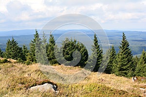 The Harz National Park