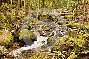 Harz National Park