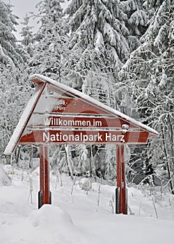 Harz National Park,germany