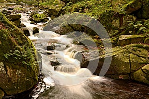 Harz National Park