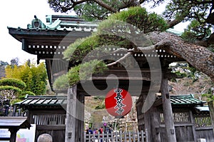 Hase-dera Temple
