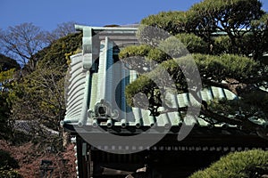 Hase-dera temple in Kamakura, Japan