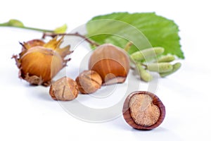 Haselnuts with heart-shape