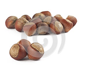 Haselnuts on white background