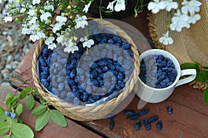 Haskap or honeysuckle berry in the wicker basket on the wooden planks.