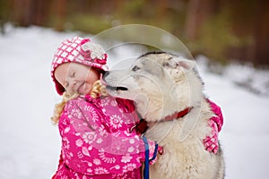 Hasky dog licking little girl