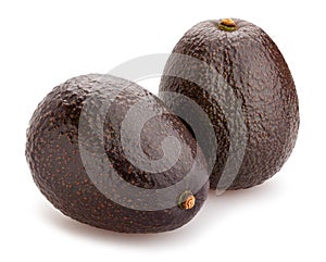 Hass avocado