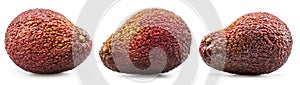 Hass avocado fruits isolated on white background