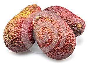 Hass avocado fruits isolated on white background photo