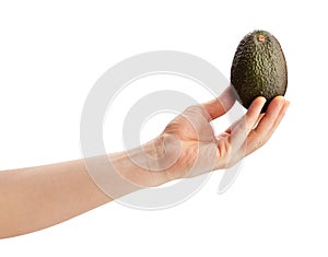 Hass avocado in hand