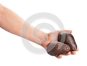 hass avocado in hand path isolated photo