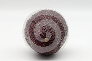 Hass Avocado isolated on white background