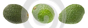 Hass avocados isolated photo