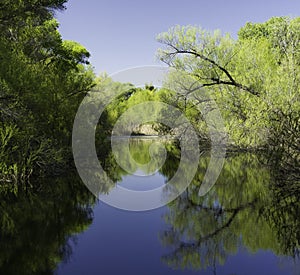 Hassayampa River Preserve, Wickenburg, Arizona