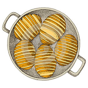 Hasselback potato traditional food vector