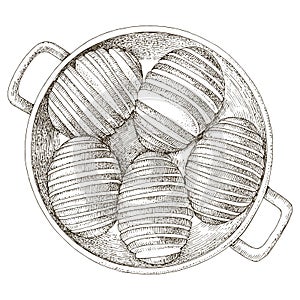 Hasselback potato traditional food vector