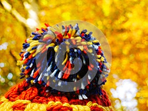 Hat with colorful pompom and golden leaves in the background