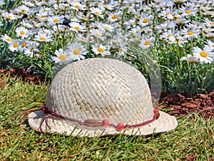 Hat and flowers photo
