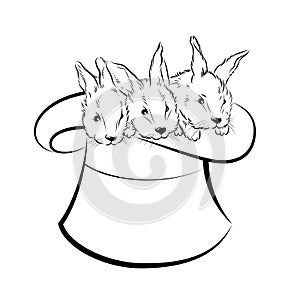 Hat of the magician with three rabbits