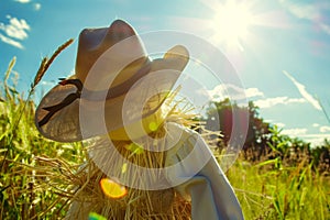 hat resting on a scarecrow in a sunny field