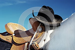 Hat and Saddle