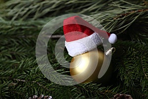Hat of Santa Claus on a christmas ball on fir tree branchs