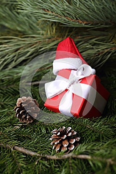 Hat of Santa Claus on a gift box and fir-cones on fir tree branches