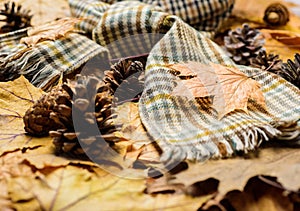 Hat and scarf on autumnal background with fallen maple leaves and fir cones. Autumn in air. Fall season fashion