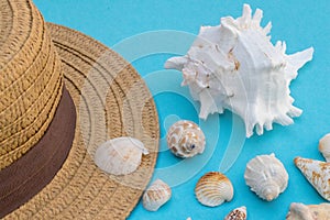 Hat and shells on a blue background, summer mood