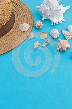 Hat and shells on a blue background, summer mood