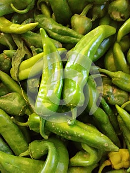 Hatch Back Green Chile