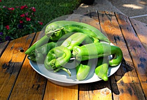 Hatch green chilies on a plate ready to roast.