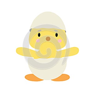 a hatched cute chick in shell