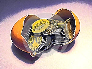Hatched egg with coins showing investment and return on investment