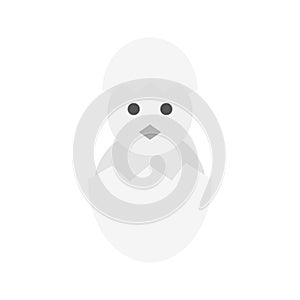 Hatched Egg icon vector image.