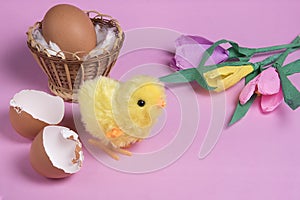 Hatched toy easter chick and hatch egg on pink background. Copyspace