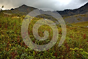 Hatcher Pass In the Talkeetna Mountains of Alaska