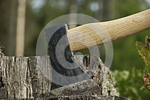 Hatchet or axe stuck in a tree stump against forest
