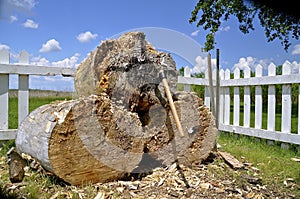 Hatchet thrown into end of logs