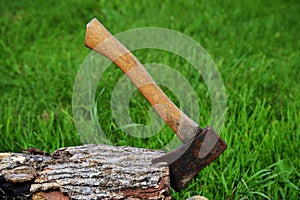 Hatchet in wood