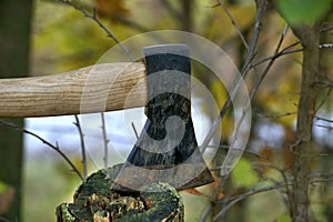 Hatchet with wooden handle lodged into tree stump