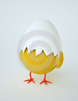 Hatching chicken