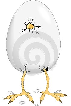 Hatching Egg Cartoon Illustration