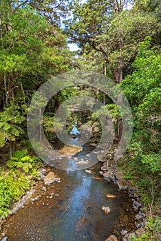 Hatea river near Whangarei falls at New Zealand