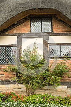 Hathaway cottage