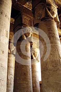 Hathor pillars