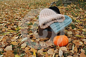 Hats crocheted knitted in the hands of a girlon the street. Product listing for sale. Urban style. Fashion. Autumn